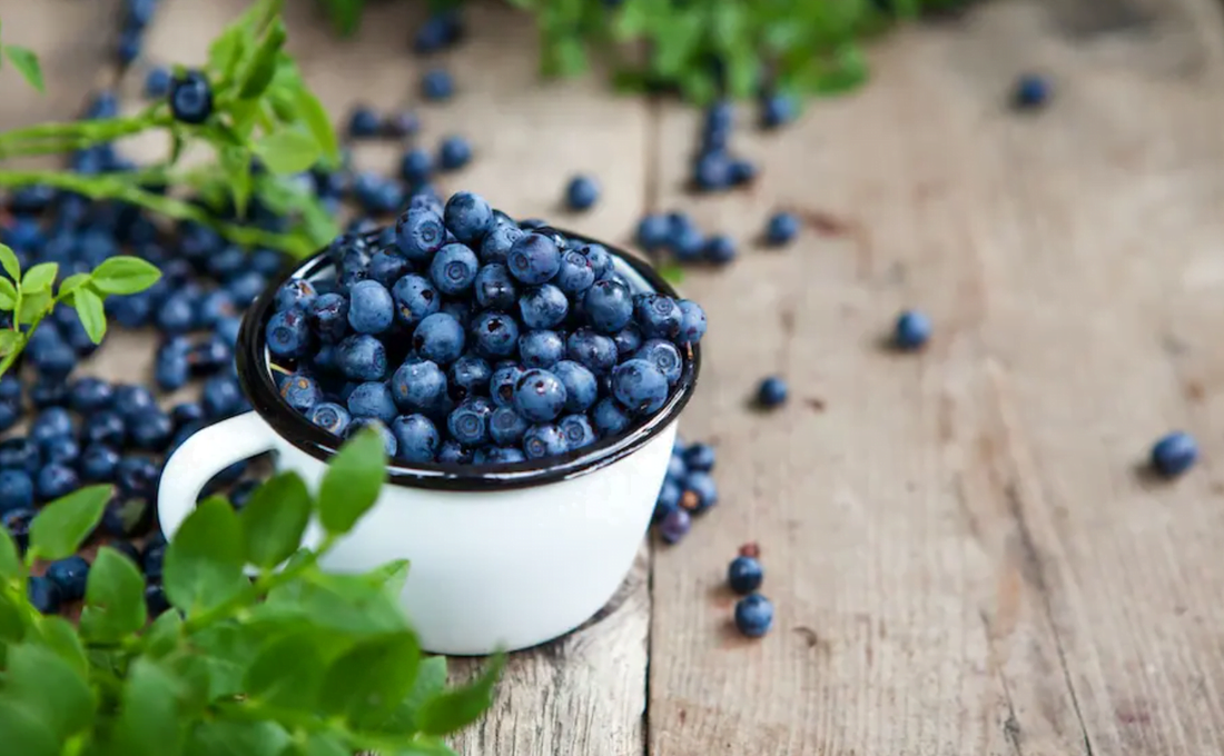 Why scientists are excited about the health benefits of pterostilbene?