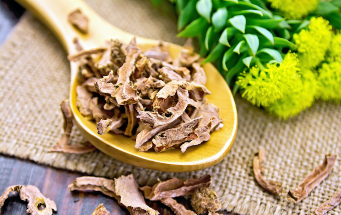 What is Rhodiola? Benefits, Uses, Side Effects & More