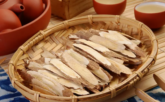 Astragalus the power house immune building plant