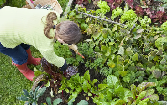 How to repair skin damage from your youth