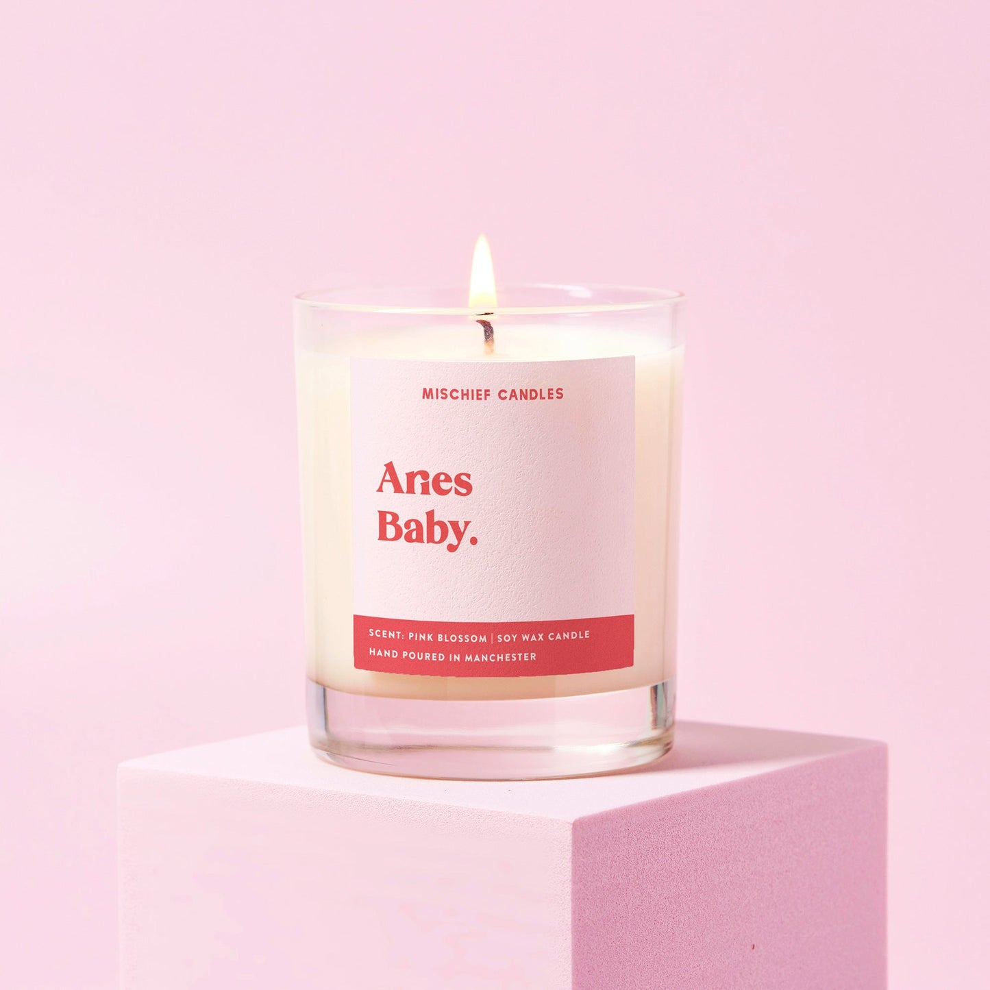 Aries Birthday Gift Funny Zodiac Candle Aries Baby
