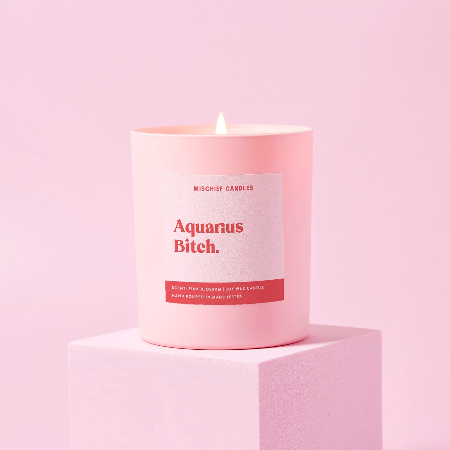 Aquarius Birthday Gift Funny Zodiac Candle Aquarius Bitch