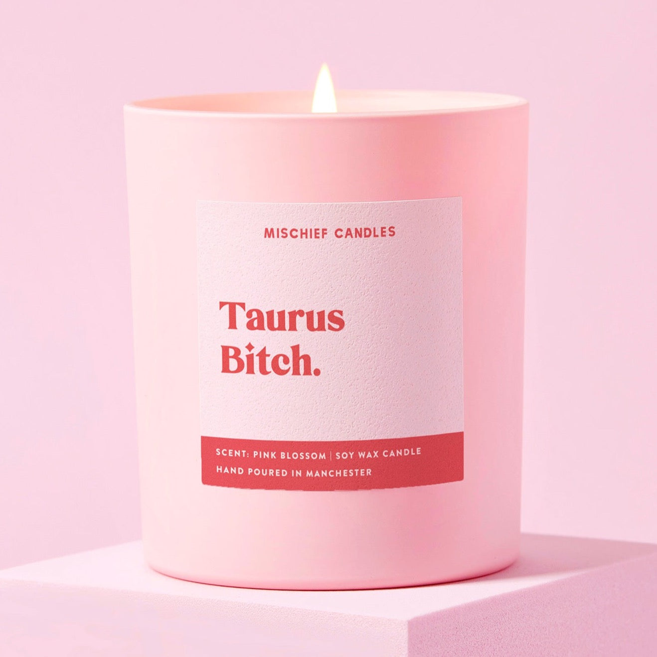 Taurus Birthday Gift Funny Zodiac Birthday Candle Taurus Bitch