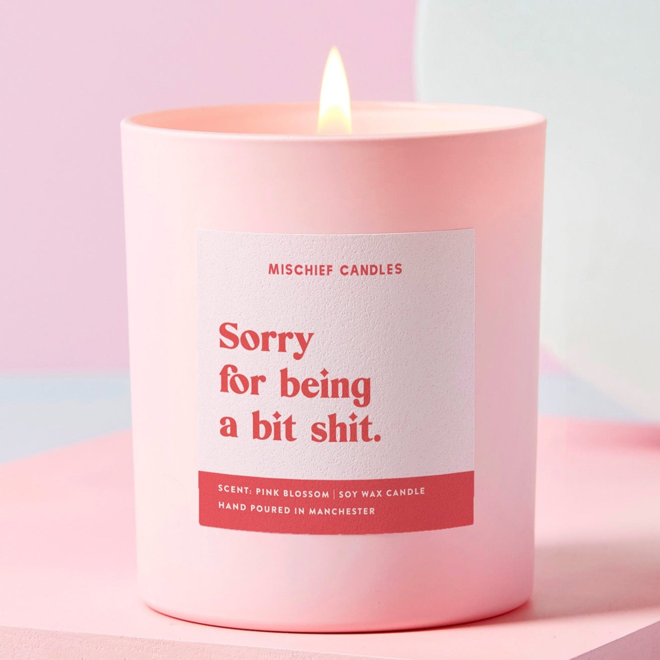 Sorry Gift Funny Soy Wax Candle Sorry for Being Shit
